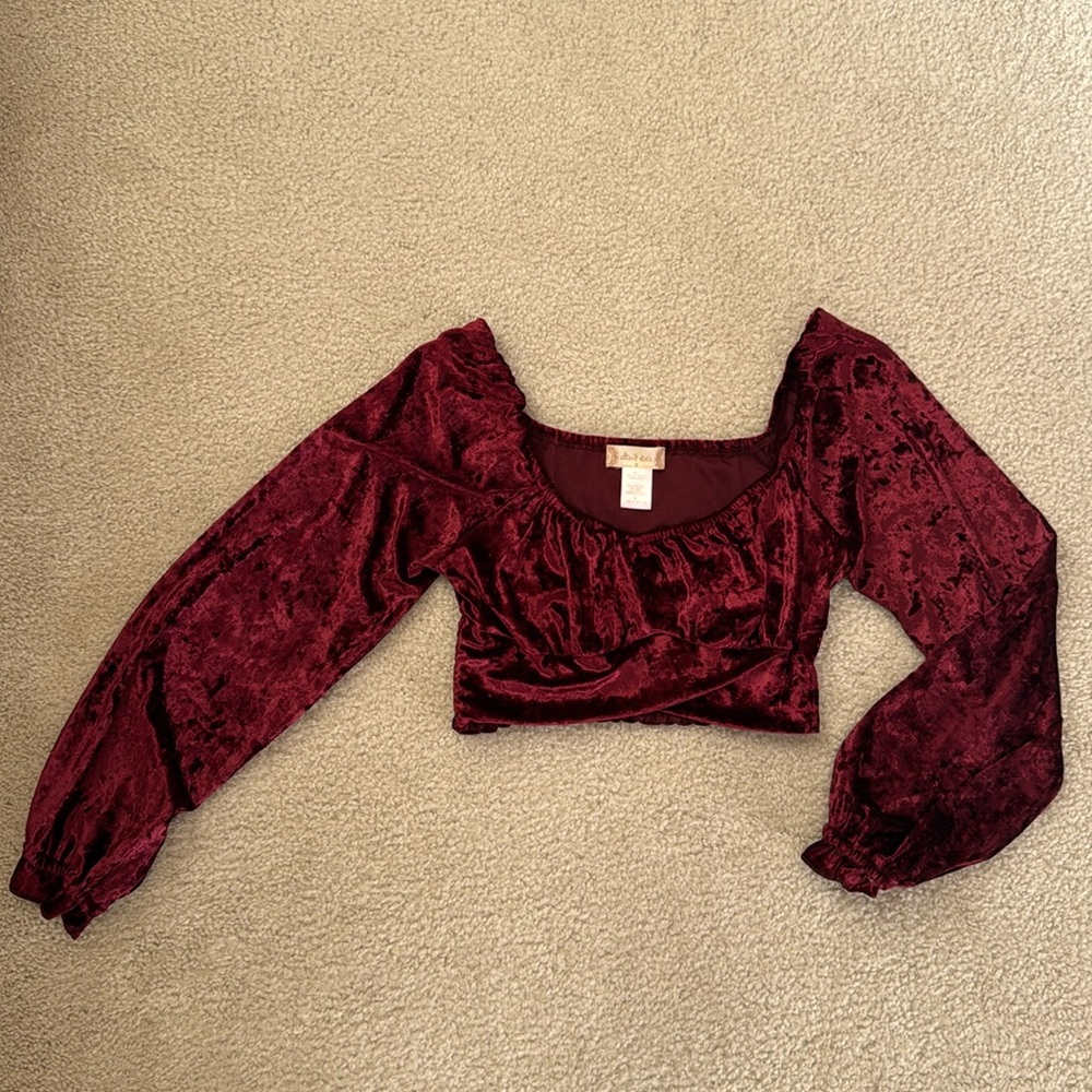 Altar’d State Velvet Crop Top SZ S